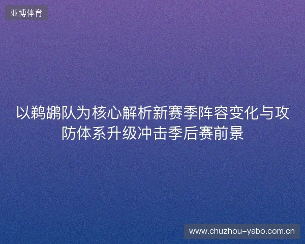 以鹈鹕队为核心解析新赛季阵容变化与攻防体系升级冲击季后赛前景