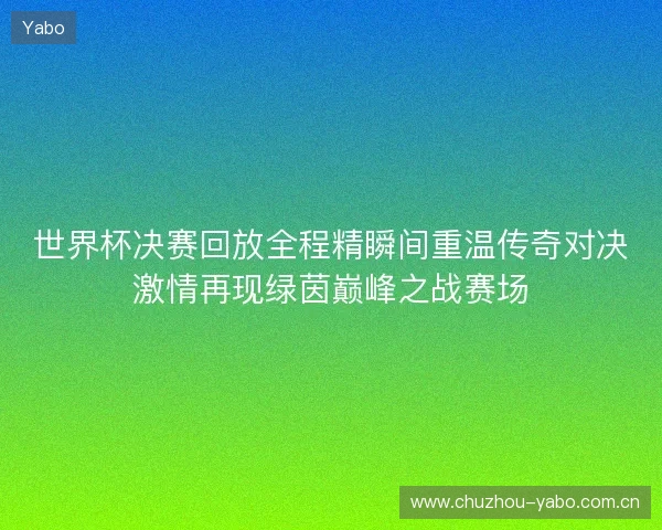 世界杯决赛回放全程精瞬间重温传奇对决激情再现绿茵巅峰之战赛场 世界杯决赛回放全程精瞬间重温传奇对决激情再现绿茵巅峰之战赛场