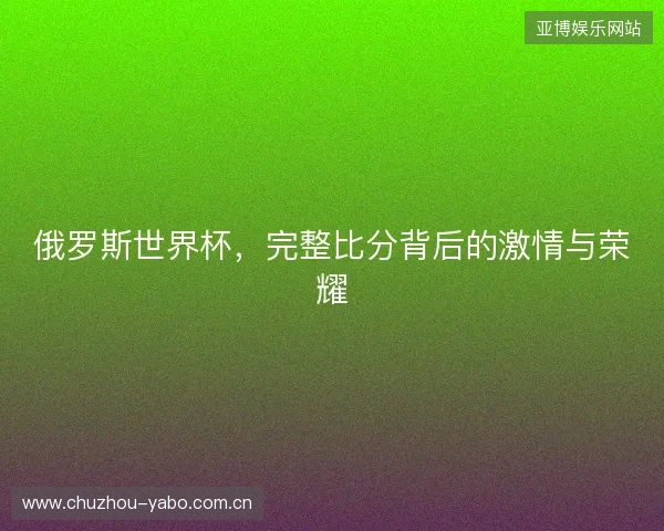 俄罗斯世界杯，完整比分背后的激情与荣耀
