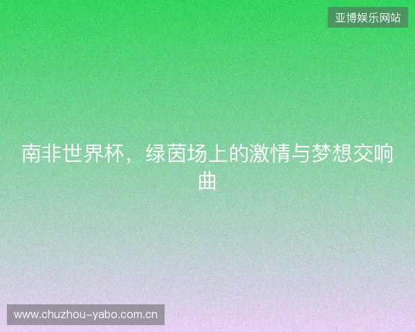 南非世界杯，绿茵场上的激情与梦想交响曲