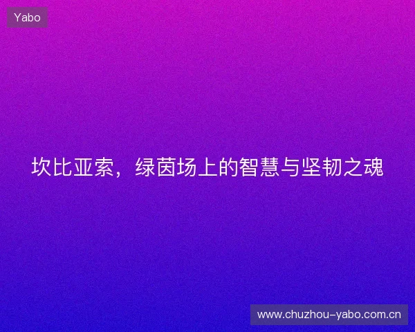 坎比亚索，绿茵场上的智慧与坚韧之魂
